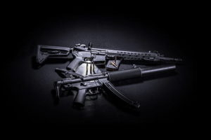 AR Pistol Case